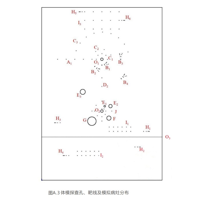腔內掃查超聲模體7